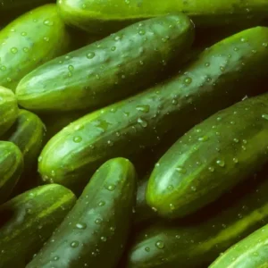 Garden Sweet Cucumber Seeds Organic Burpless Non-GMO - Free Shipping