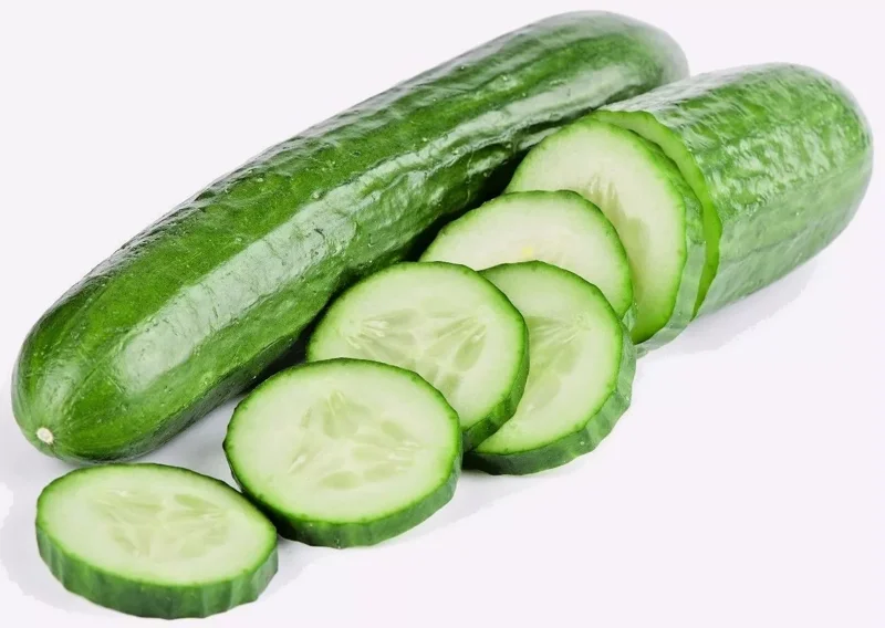 Garden Sweet Cucumber Seeds Organic Burpless Non-GMO - Free Shipping